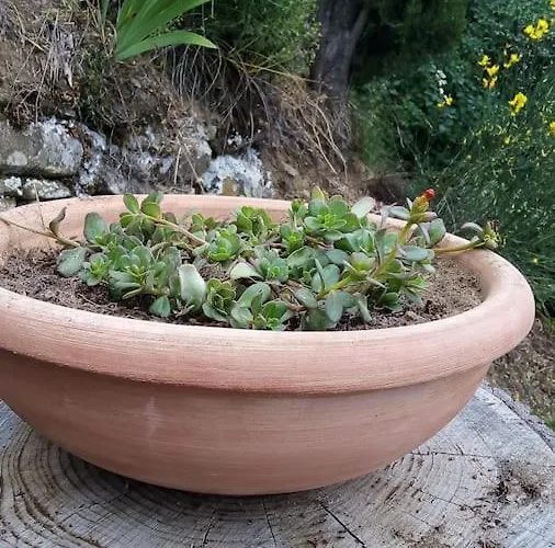 Alpesi faház Il Ponticello *